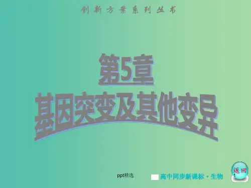 高中生物 第5章 第3节 人类遗传病课件 新人教版必修2