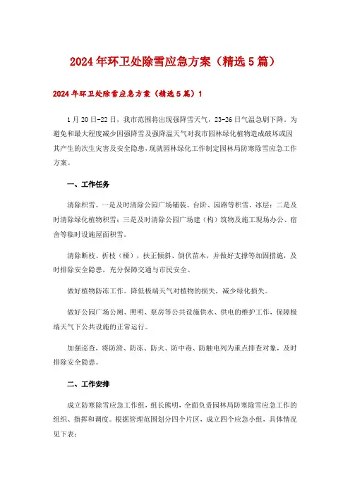 2024年环卫处除雪应急方案(精选5篇)