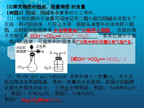 《实验探究》PPT课件
