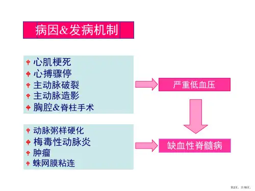 脊髓血管病概述课件