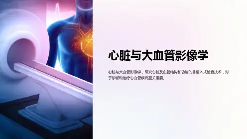 心脏与大血管影像学