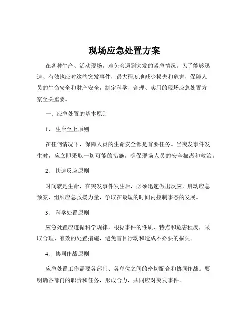 现场应急处置方案