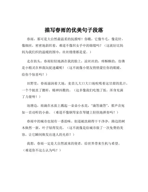 描写春雨的优美句子段落