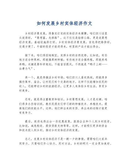 如何发展乡村实体经济作文