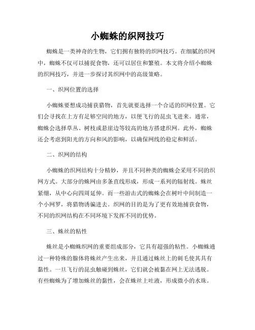 小蜘蛛的织网技巧