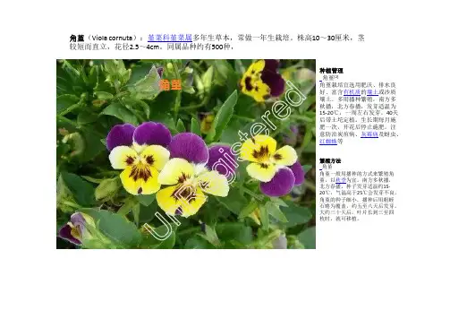 无锡植物一览