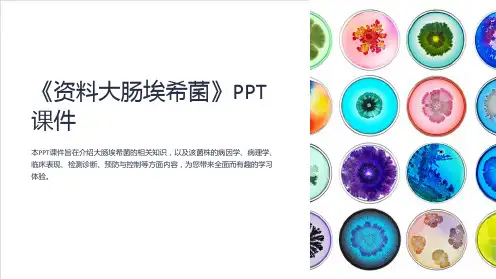 《资料大肠埃希菌》课件
