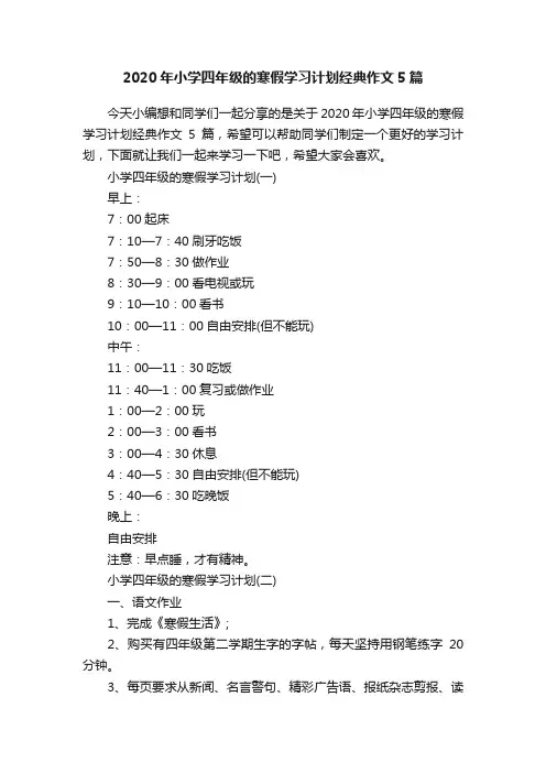 2020年小学四年级的寒假学习计划经典作文5篇