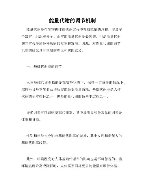 能量代谢的调节机制