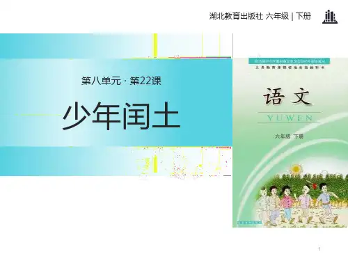 《少年闰土》PPT-完美版课件