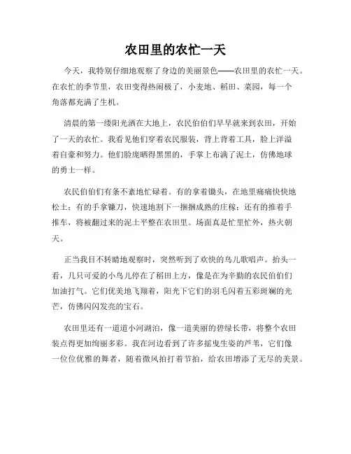 小学三年级作文这儿真美范文农田里的农忙一天
