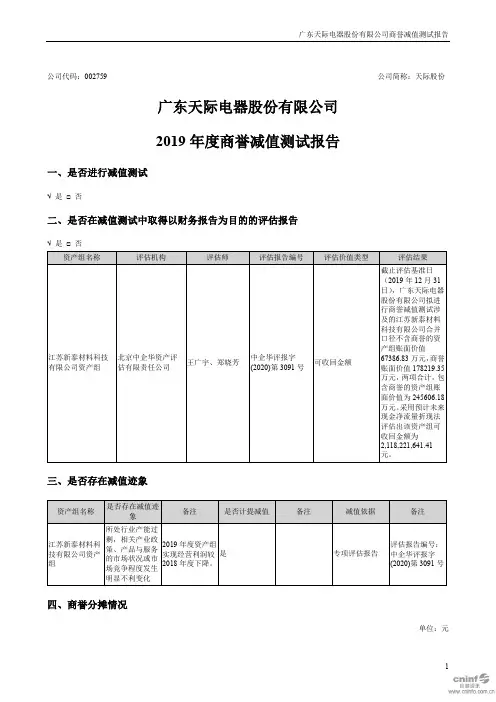 天际股份：2019年度商誉减值测试报告