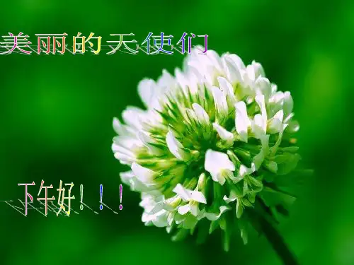 浅谈护理关系中的沟通技巧(PPT 57页)