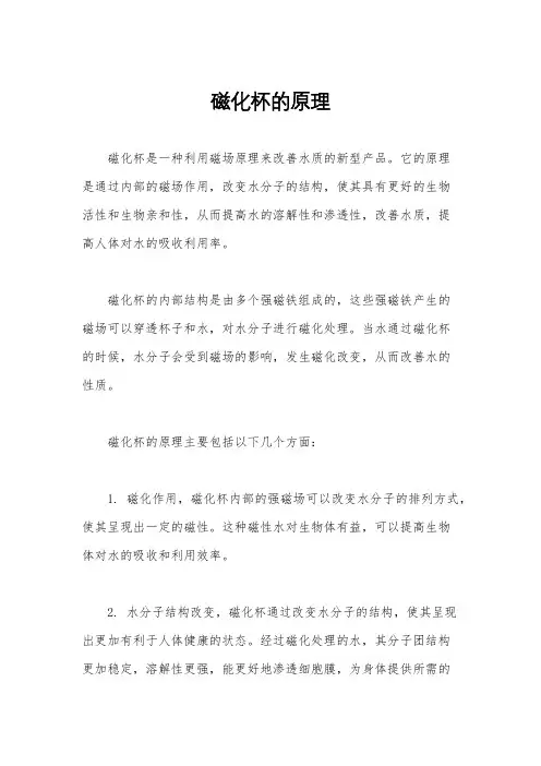磁化杯的原理