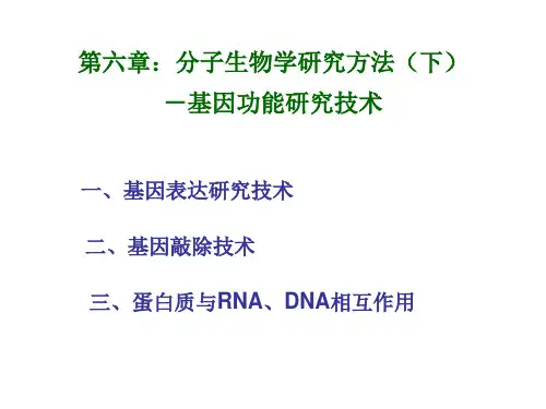 第六章：分子生物学研究方法(下全文编辑修改