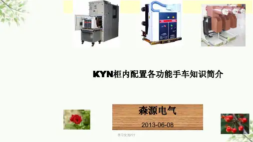 10KV中置柜内各功能手车课件