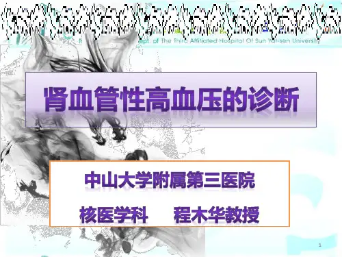 肾血管性高血压的诊断ppt课件