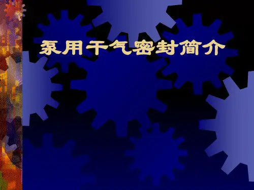 泵用干气密封系统 ppt课件