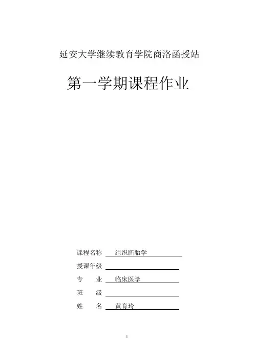 《组织胚胎学》课程作业