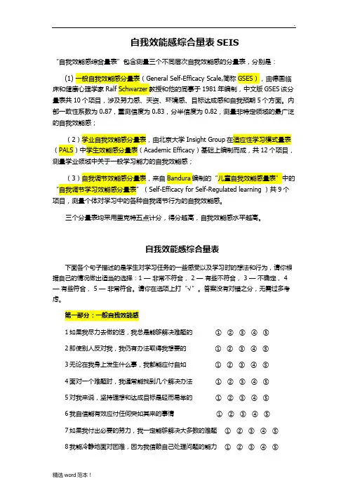 自我效能感综合量表SEIS