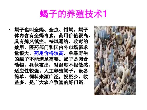 蝎子的养殖技术