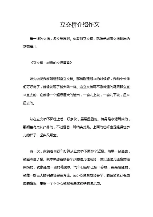 立交桥介绍作文