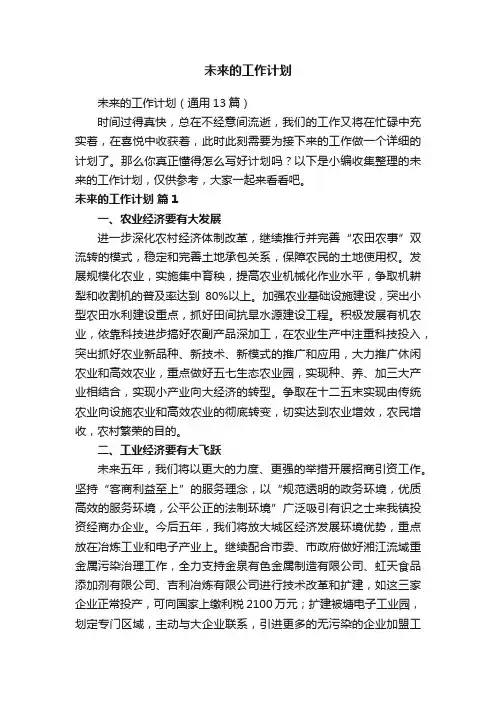 未来的工作计划