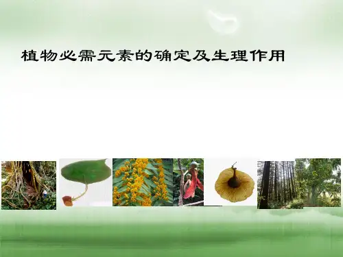 植物必需矿质元素