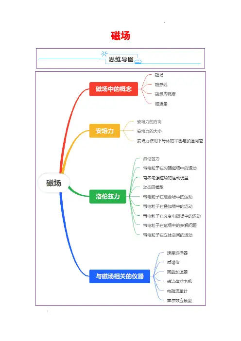 磁场(解析版)—2025年高考物理一轮复习知识清单