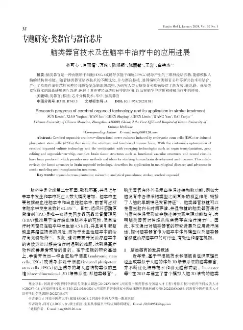 脑类器官技术及在脑卒中治疗中的应用进展