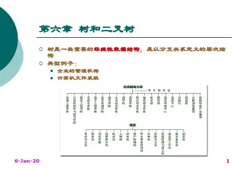 chapter 6 树和二叉树.ppt