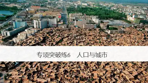 高三地理复习优质课件：专项突破练6 人口与城市ppt课件
