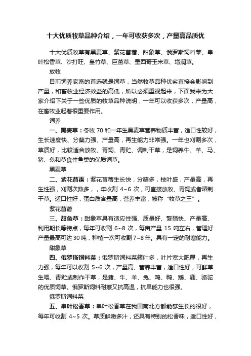 十大优质牧草品种介绍，一年可收获多次，产量高品质优