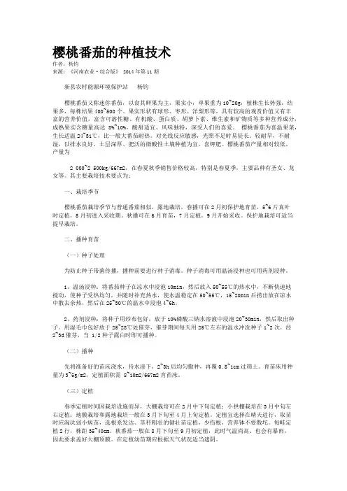 樱桃番茄的种植技术