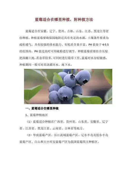 蓝莓适合在哪里种植,附种植方法