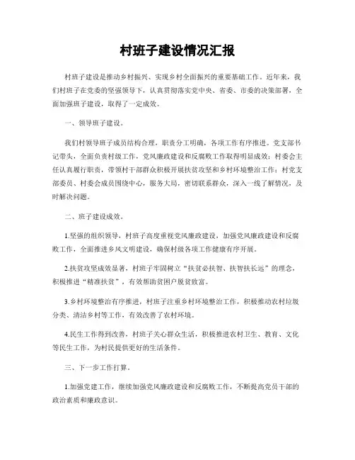 村班子建设情况汇报