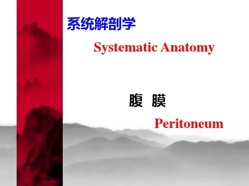 腹膜 系统解剖学PPT课件