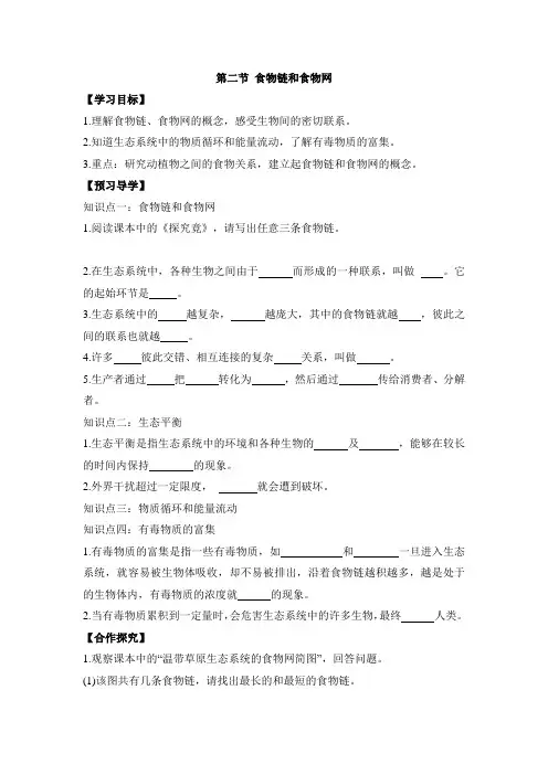 冀少版-生物-八年级下册-《食物链和食物网》导学案