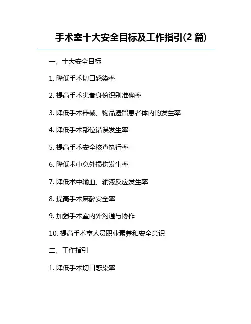 手术室十大安全目标及工作指引(2篇) 
