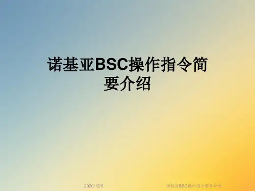 诺基亚BSC操作指令简要介绍