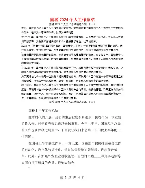 国税2024个人工作总结3篇