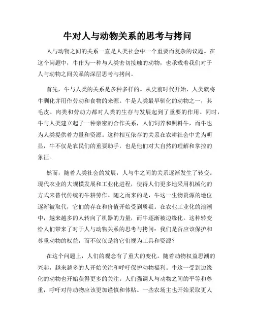 牛对人与动物关系的思考与拷问