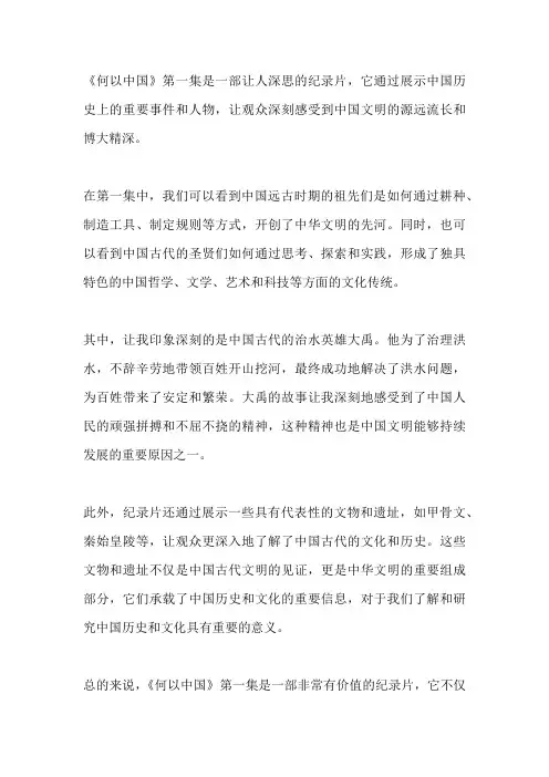 何以中国第一集观后感100字