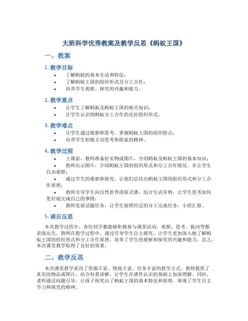 大班科学优秀教案及教学反思《蚂蚁王国》