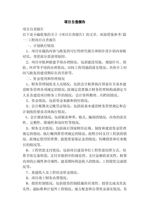 项目自查报告（范本）