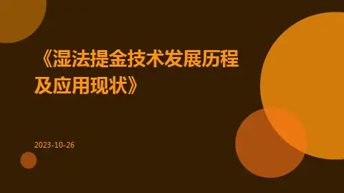 湿法提金技术发展历程及应用现状