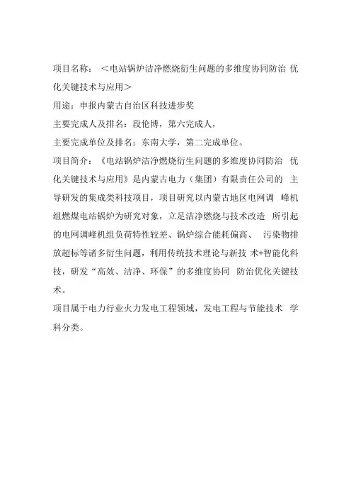 项目名称电站锅炉洁净燃烧衍生问题的多维度协同防治优化关键技术与应用
