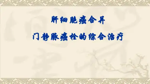 (优质医学)肝癌合并门静脉癌栓PPT演示课件