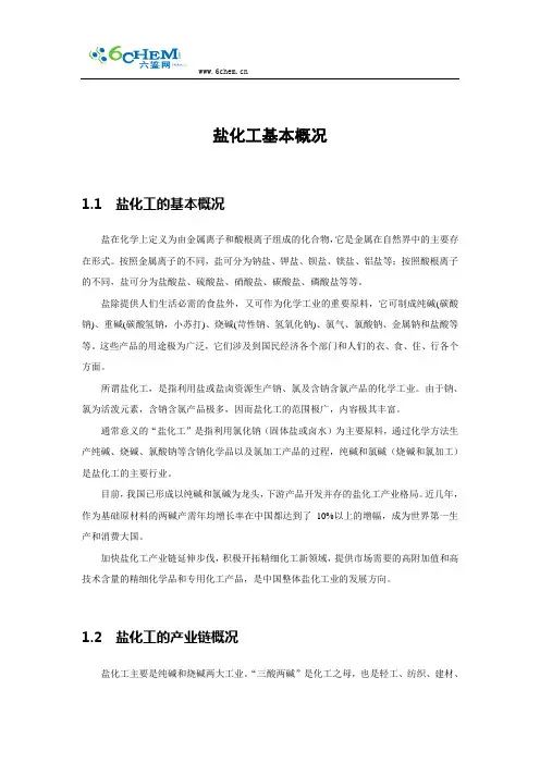 盐化工基本概况