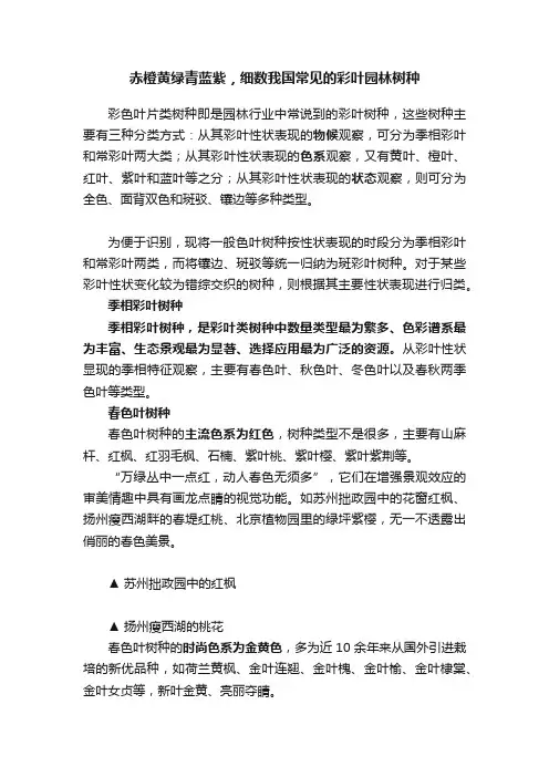 赤橙黄绿青蓝紫，细数我国常见的彩叶园林树种